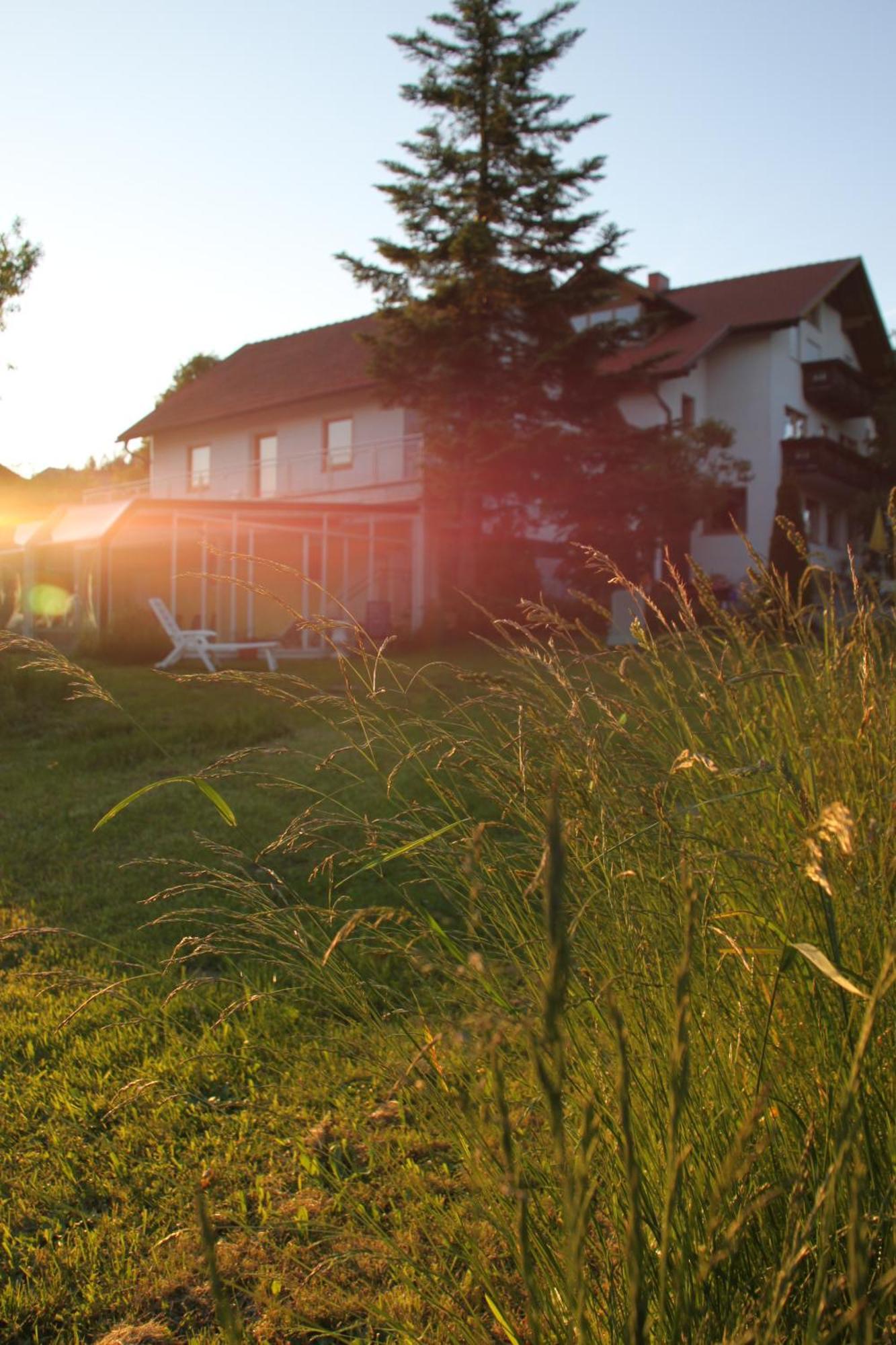 Gasthof-Pension Zum Haugstein - Familie Eder Енгелхартцел Екстериор снимка
