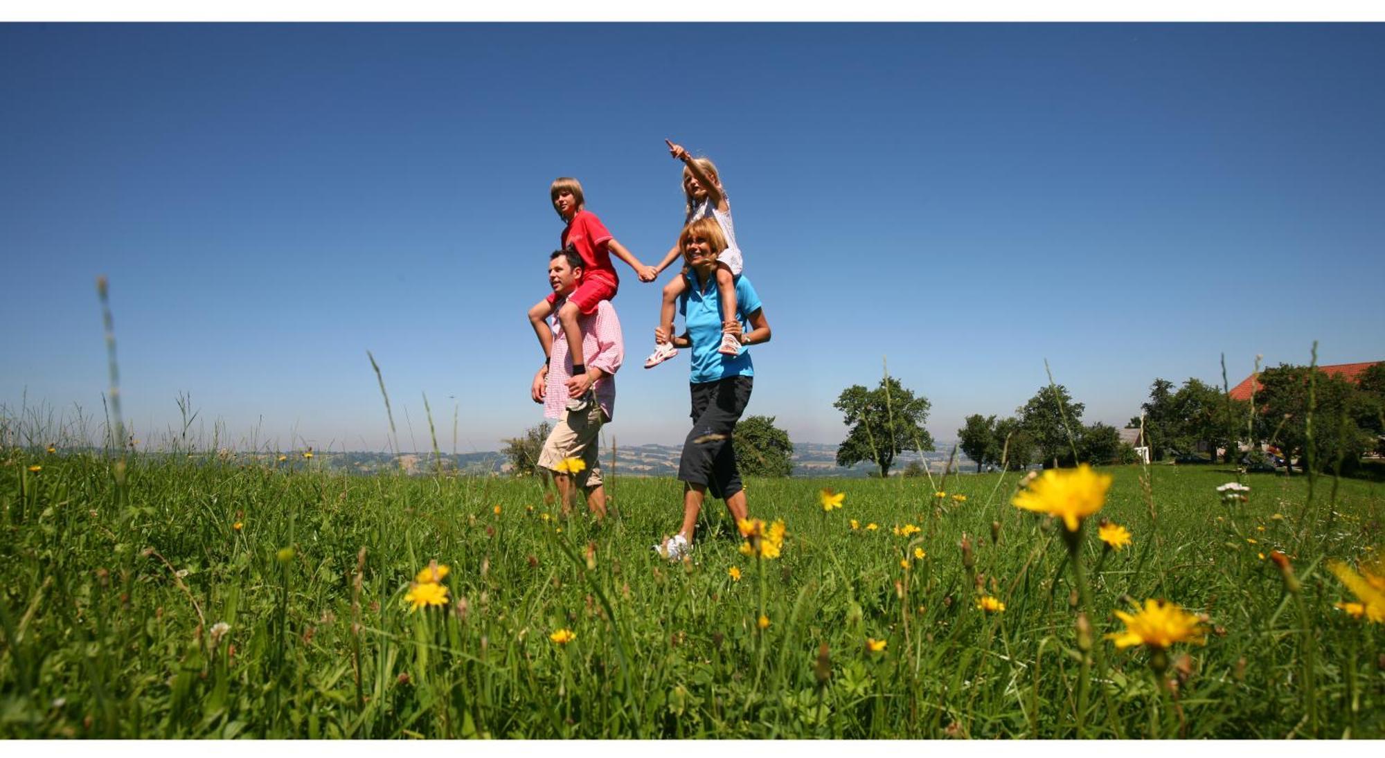 Gasthof-Pension Zum Haugstein - Familie Eder Енгелхартцел Екстериор снимка