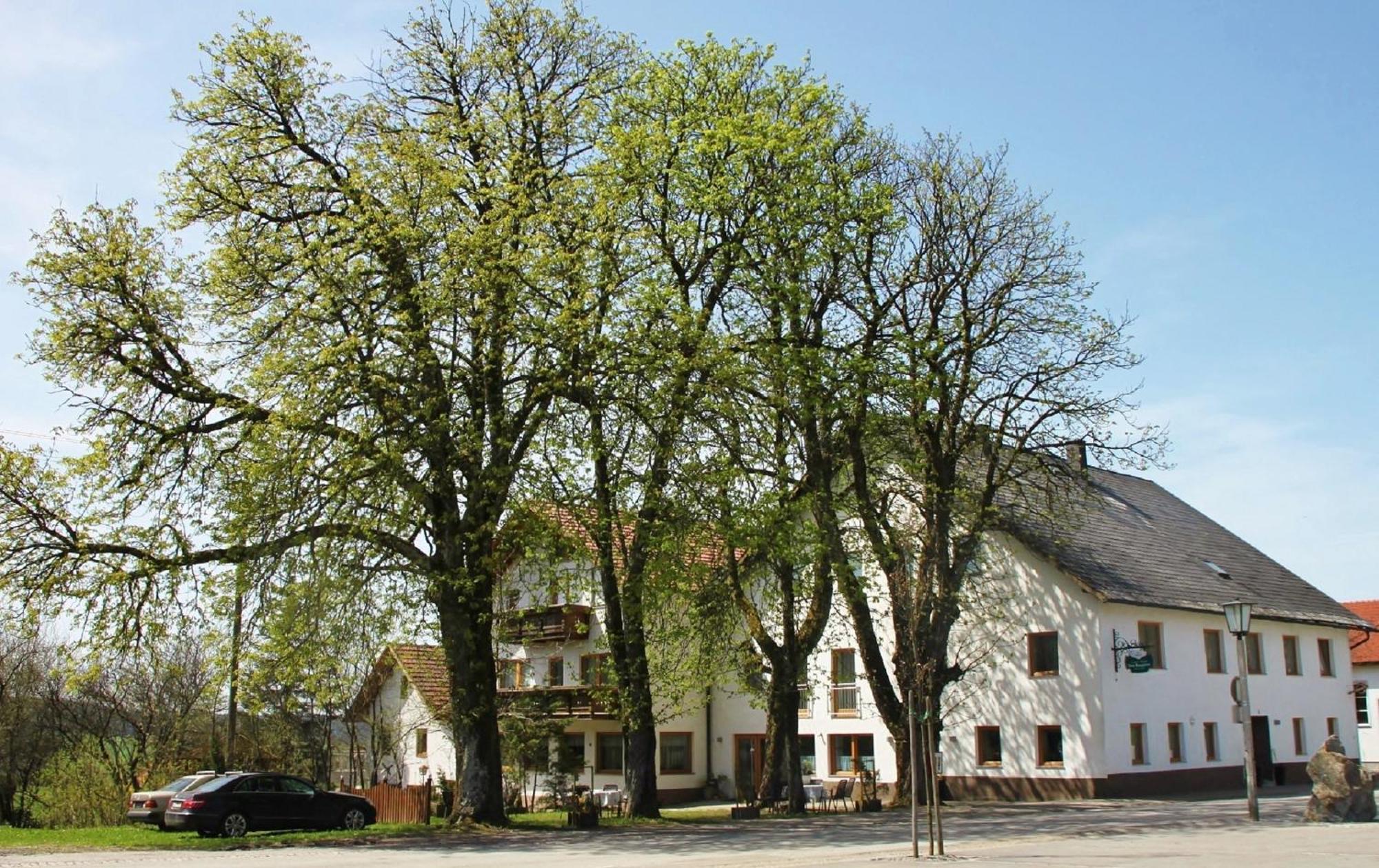 Gasthof-Pension Zum Haugstein - Familie Eder Енгелхартцел Екстериор снимка